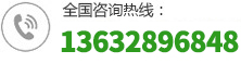 全国咨询热线：13632896848